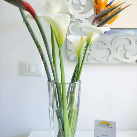 Holiday home Casa Numea - Free Parking