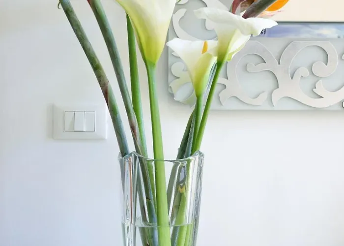 Prázdninový dům Casa Numea - Free Parking